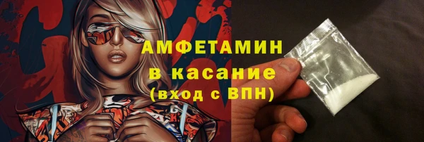 индика Киреевск