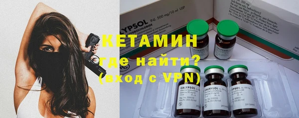 индика Киреевск