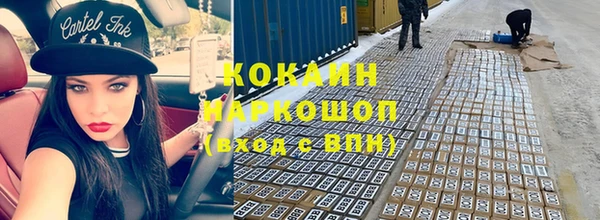 индика Киреевск