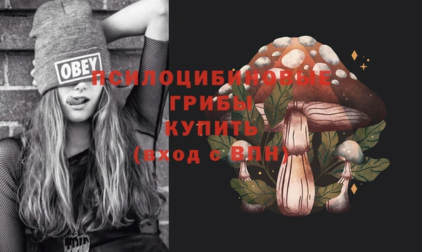 стафф Козловка