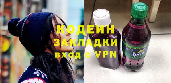 индика Киреевск