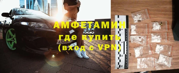индика Киреевск