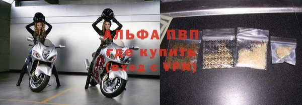 индика Киреевск