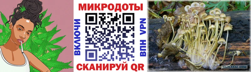 Галлюциногенные грибы Cubensis  продажа наркотиков  Лангепас 